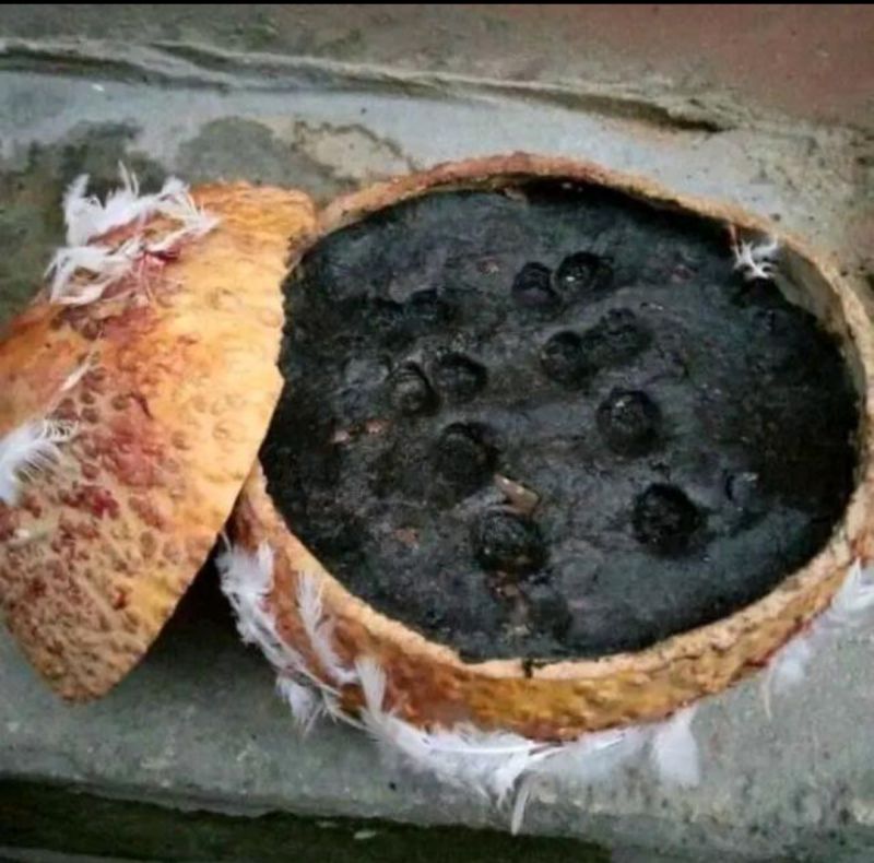 ...